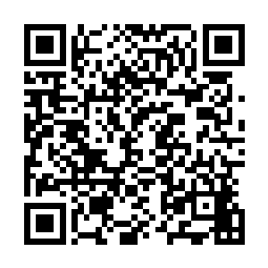 那个南粤投资商恰巧认识陆为民那个在南粤省发计委的同学二维码生成