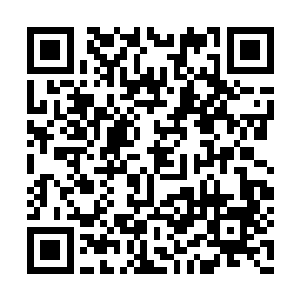 那个卡拉汉眼看陈小练朝着自己张牙舞爪扑过来二维码生成