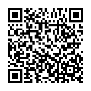 那个原本安静的低着头坐着的女仆装小女孩儿此时抬起头二维码生成