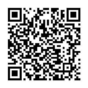 那个叫做李渡的小少年拍着胸部说要给自己在朝中谋一个公职二维码生成