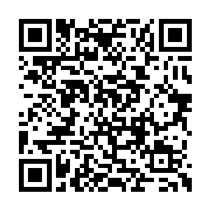 那个叫楚寒烟和落秋水的女子在沈凡心中的份量二维码生成