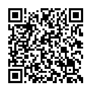 那个叫流风的使用的幻雨大神通应当是某种仙法二维码生成