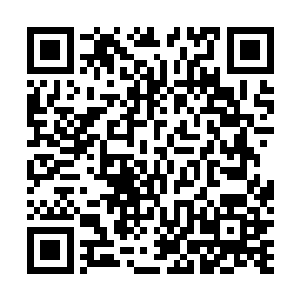 那个号称公安局副局长是他大舅的王子健终究是没再出现二维码生成