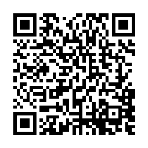 那个司马十七郎不知怎么知道了我们与花姨娘偷看祖父书信的事二维码生成
