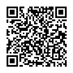 那个名叫多莱姆的佣兵似乎根本不去理会菲利普的话二维码生成