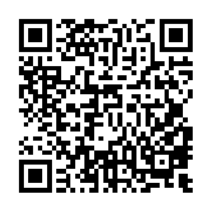 那个名叫狗子的精瘦的男孩一脸惊喜地冲到了朱大明的身边二维码生成