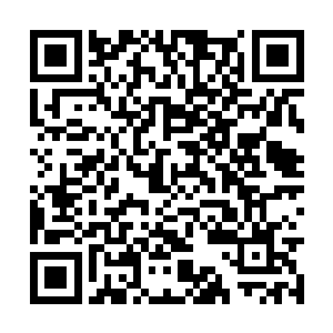 那个向后倒退语速极快通报消息的人立刻没了声音二维码生成