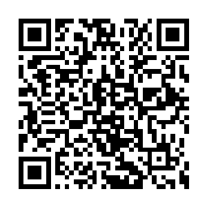 那个和张铁动手的老者也没想到双方一闹出事情二维码生成