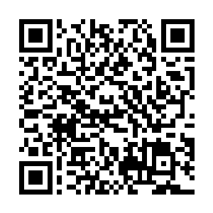 那个唤作雪琴的婢女却是不由分说的上前扯了王箴便走二维码生成