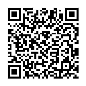 那个回去报信的人以最快的速度朝着当铺的方向赶去二维码生成