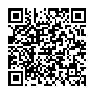 那个在好莱坞驰骋十几年取得了无数成绩的特蕾西二维码生成