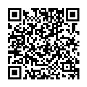 那个在帮他的妖兽直接给他送来了一头速度快的妖兽二维码生成