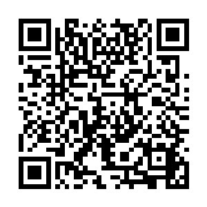 那个在战斗之前还傻乎乎问自己是什么星座的女孩二维码生成