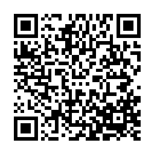 那个地尊后期巅峰的穿山甲此时已经走到了大周天剑阵的外面二维码生成