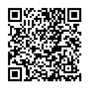 那个天尊初期修士目光威严地扫过下方的密密麻麻的修士二维码生成