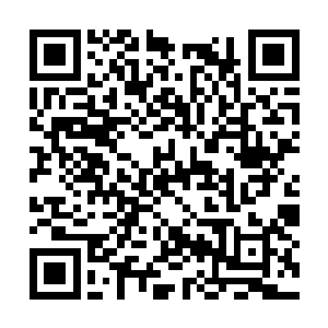 那个天庭暗桩因为苗毅的原因和他们联系的比较多二维码生成