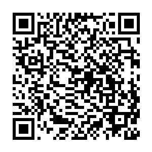 那个央求他们给人治病的瑞典方面的工作人员也一直在做群众的工作二维码生成