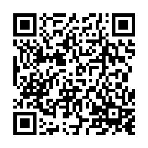 那个失去所有亲人孤单寂寞的偷着哭泣的凌菲已经不在了二维码生成