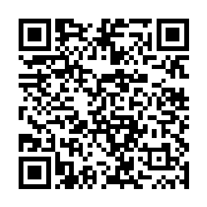 那个女人数次通过窗户看自己凄苦死去时的悲惨样子二维码生成