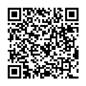 那个女生就带来了十几个五大三粗的汉子挡在了苏凡的身前二维码生成