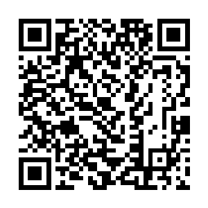 那个妖女的实力提升速度绝对没有我伟大的努比斯快二维码生成