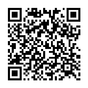 那个姓郑的混蛋现在已经是处于丧心病狂的地步二维码生成
