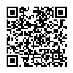 那个孙子让球票刺激得和一头发了情的公牛一样二维码生成