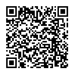 那个完全由生命之气形成的符箓便被许紫烟弹入了右手的气罩之中二维码生成