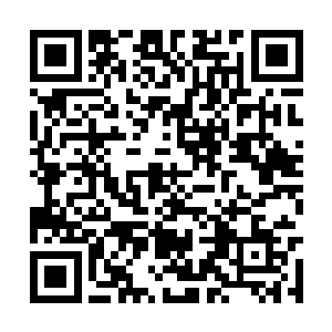 那个客栈的两个红色的灯笼掩印在一小片竹林之后二维码生成