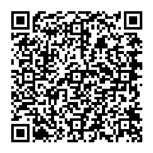 那个家伙正是当初在海蓝堡中被张铁张铁砍下一只手和切掉一只耳朵的魔蛇岛的圆桌武士邦尼二维码生成