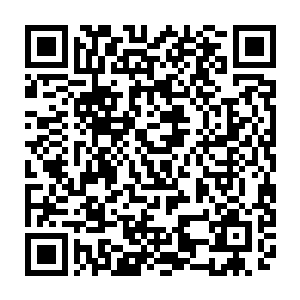 那个小小的望远镜筒在手里看着远处已经是一片焦黑的炼油厂和停车场废墟二维码生成