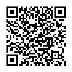 那个小花园是给官员们处理政事之余赏玩解乏的二维码生成