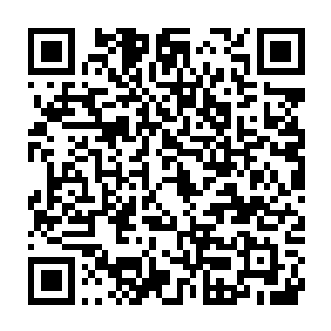 那个少年人将这朵最漂亮的莲花插在一个只有五六岁的小姑娘的头上二维码生成