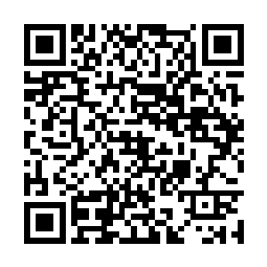 那个巨大的肉球居然将他们的攻击全部反弹了出来二维码生成