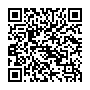 那个已经清点好仙晶并且收了起来的仙人却是神色一肃二维码生成