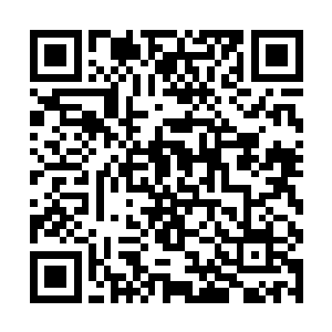 那个年轻人在草野富江的兰花展上只看到不到一分钟二维码生成