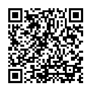 那个年轻男子竟然在这种关系到她家族存亡的紧要关头二维码生成