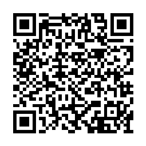 那个想要在前面阻挡他们的管家一句话没有说完二维码生成