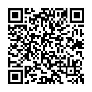 那个据说有点实力但是只有二阶游侠水平的领主二维码生成