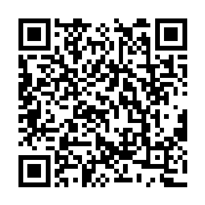 那个方向……聚集了大量战斗力极高的家伙呢……二维码生成