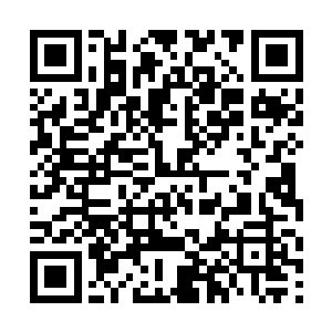 那个时候一颗八级下等也有极大的可能晋升到二重天二维码生成
