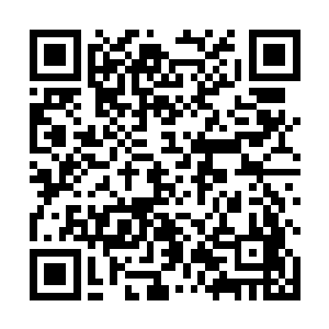 那个时候她就已经习惯了廖辽一边听歌一边胡乱的点评二维码生成