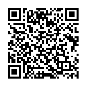 那个时候她若是神识攻击之后再祭出这些可怕的虫子二维码生成