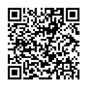 那个时候父亲还只不过是小千圣宗的一个普通弟子二维码生成