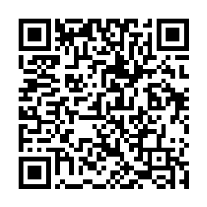 那个时候的他是最有可能接过贝利和马拉多纳衣钵的人二维码生成