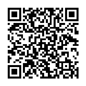 那个时候要想查一查一个企业的底细实在太容易了二维码生成