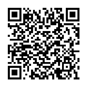 那个是不是号称名古屋第一年轻高手的土居步么二维码生成