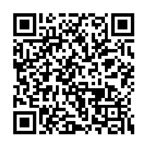 那个曼妙的身影陡然出现在了格里芬的尸体之前二维码生成