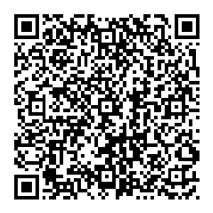 那个曾经号称站在真武玄域山巅俯视芸芸众生的那个强横的男人――华轻扬――像死狗一样带着宗门之人回到真武玄宫二维码生成