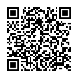 那个来自工匠之塔的盾卫者已经成功爬上了雪山之巅二维码生成